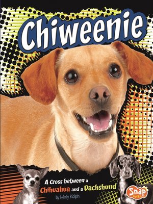 cover image of Chiweenie